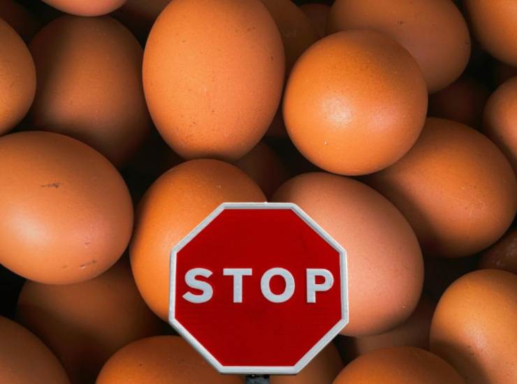 Allerta uova