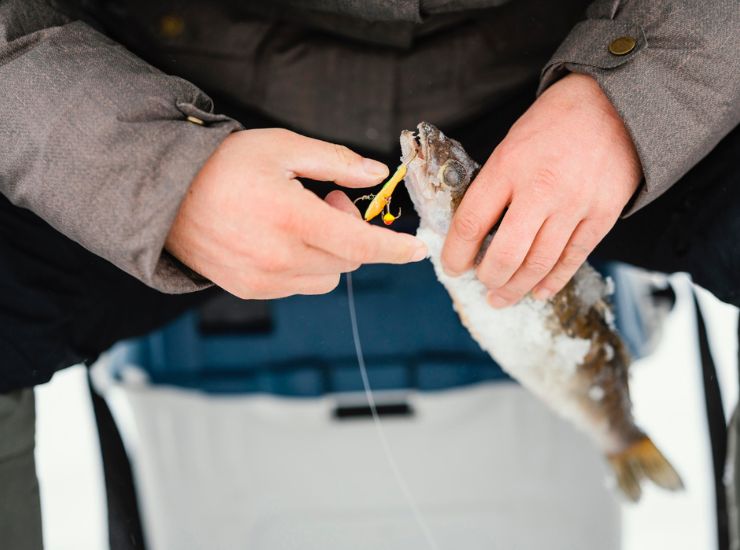 zone di pesca - freepik - alganews.it