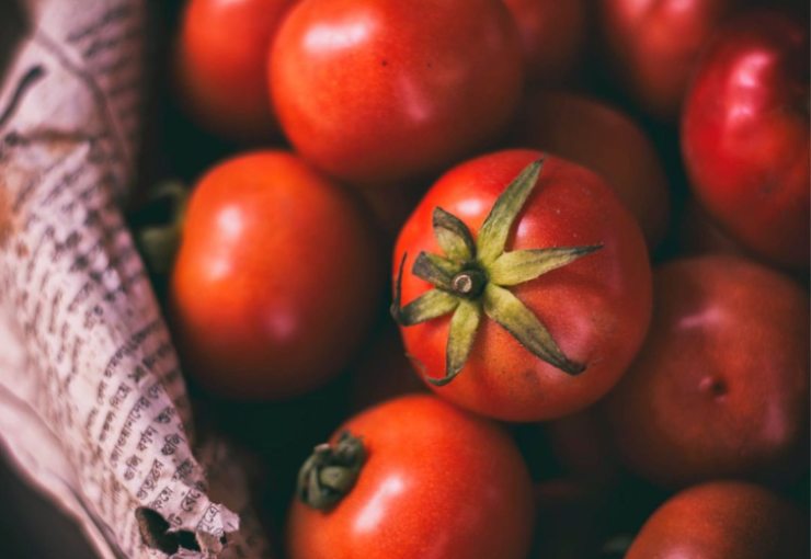 I dati emersi da questo studio 