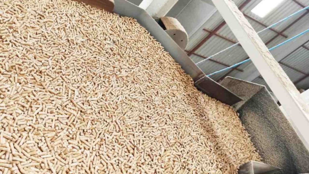 Offerta per un bancale di pellet