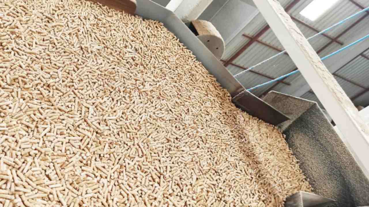 Offerta per un bancale di pellet