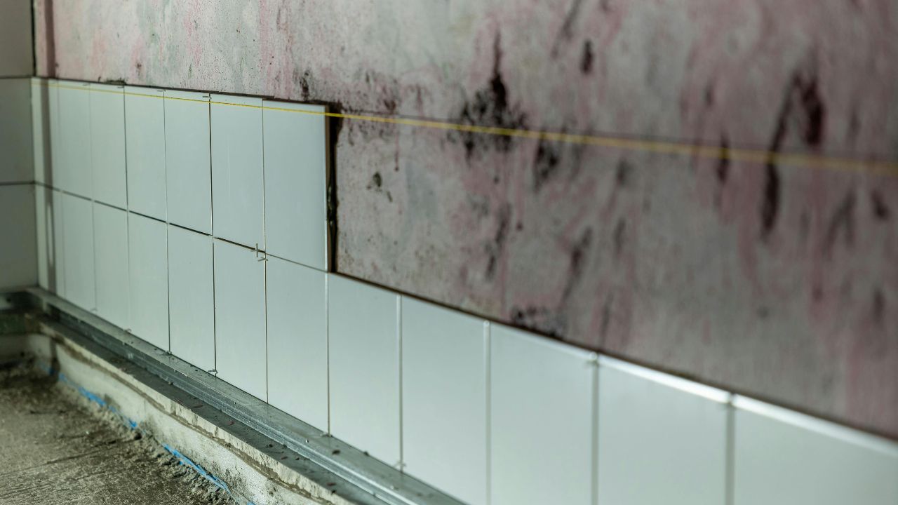 Parete interna con muffa